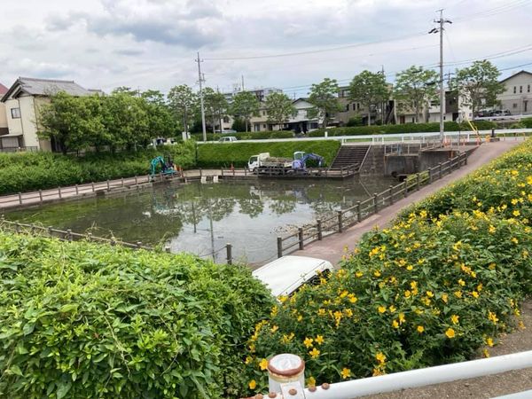 【谷田町内調整池の環境整備】