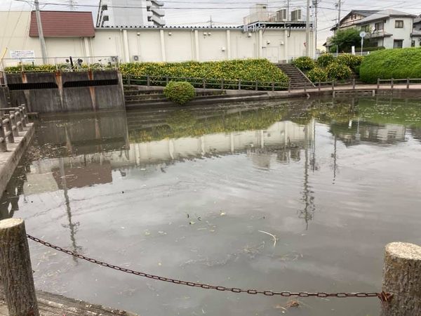 【谷田町内調整池の環境整備】