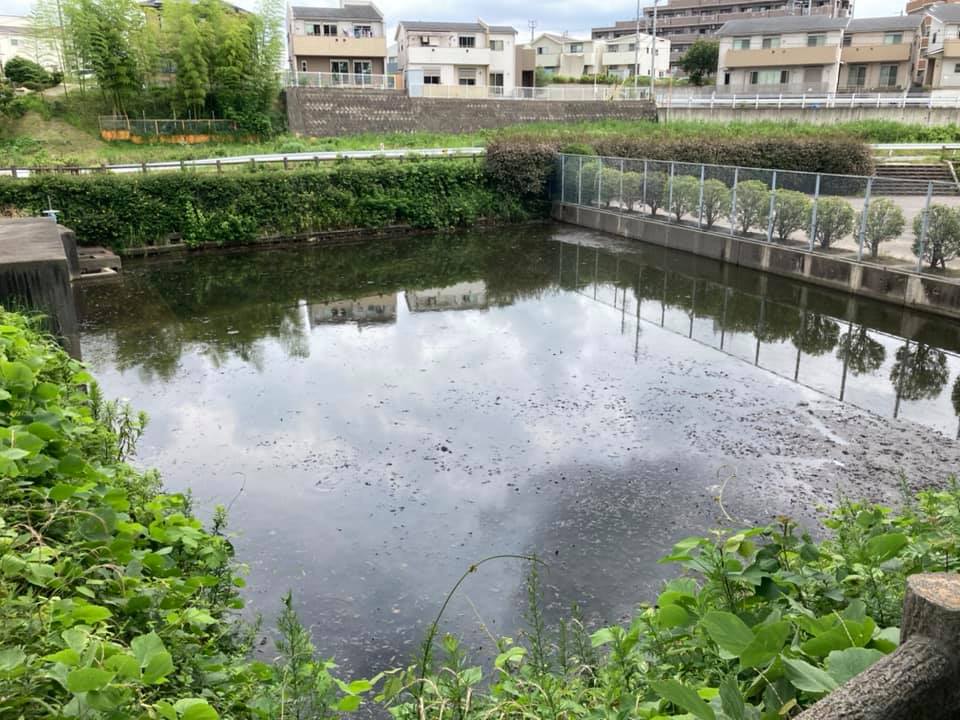 【水生植物による被害が出る前に＠本林公園】