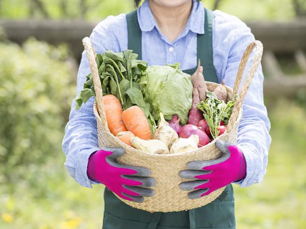 【知立市の農業、農業も産業です‼️】
