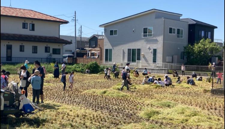 【🌾みな丸ファーム稲刈り体験会🌾】