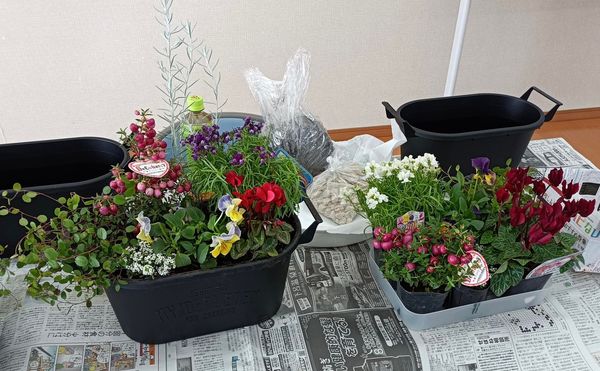 【正月を華やかに迎えるために🌺】