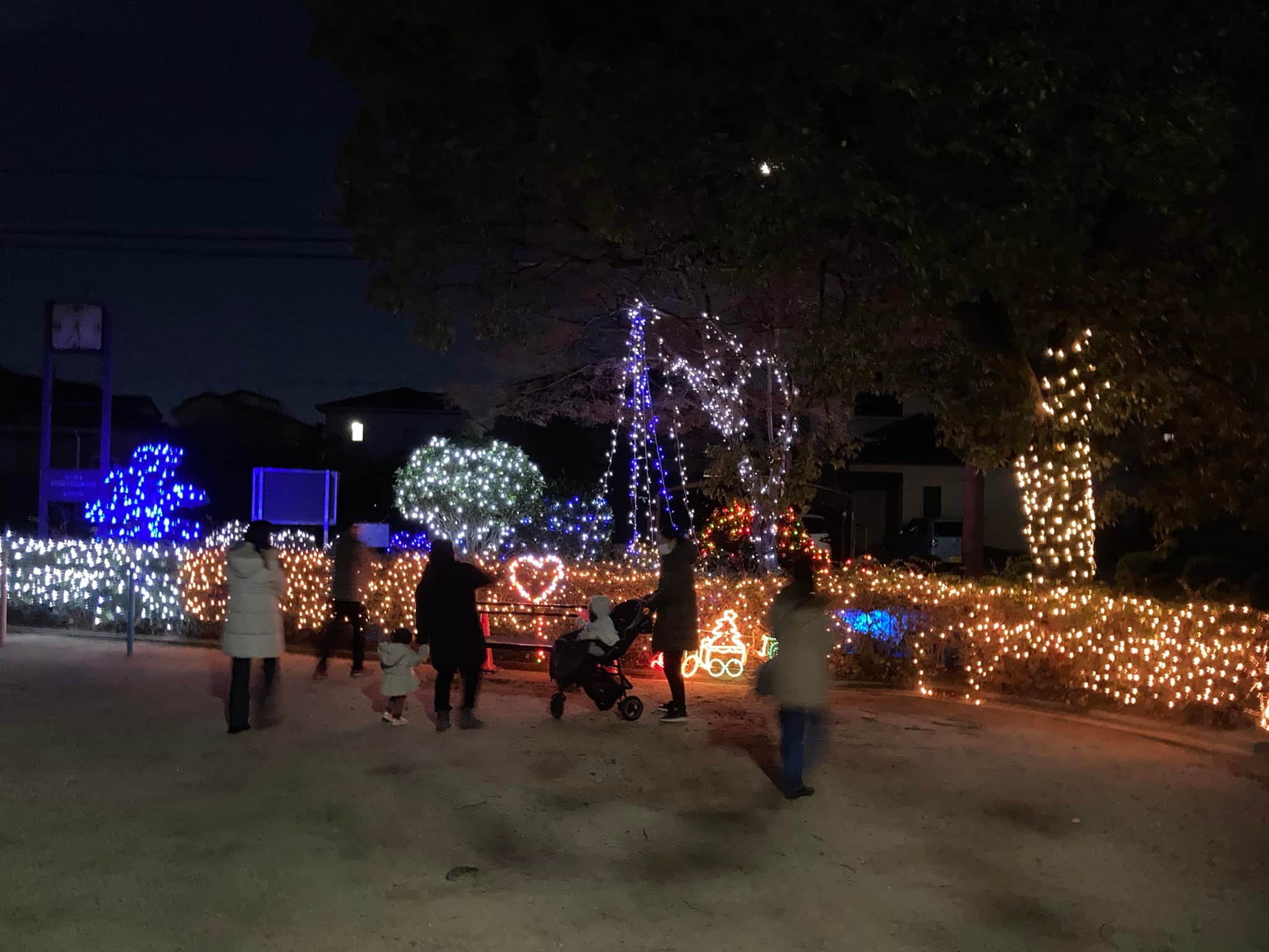 【谷田公園イルミネーション🎄】