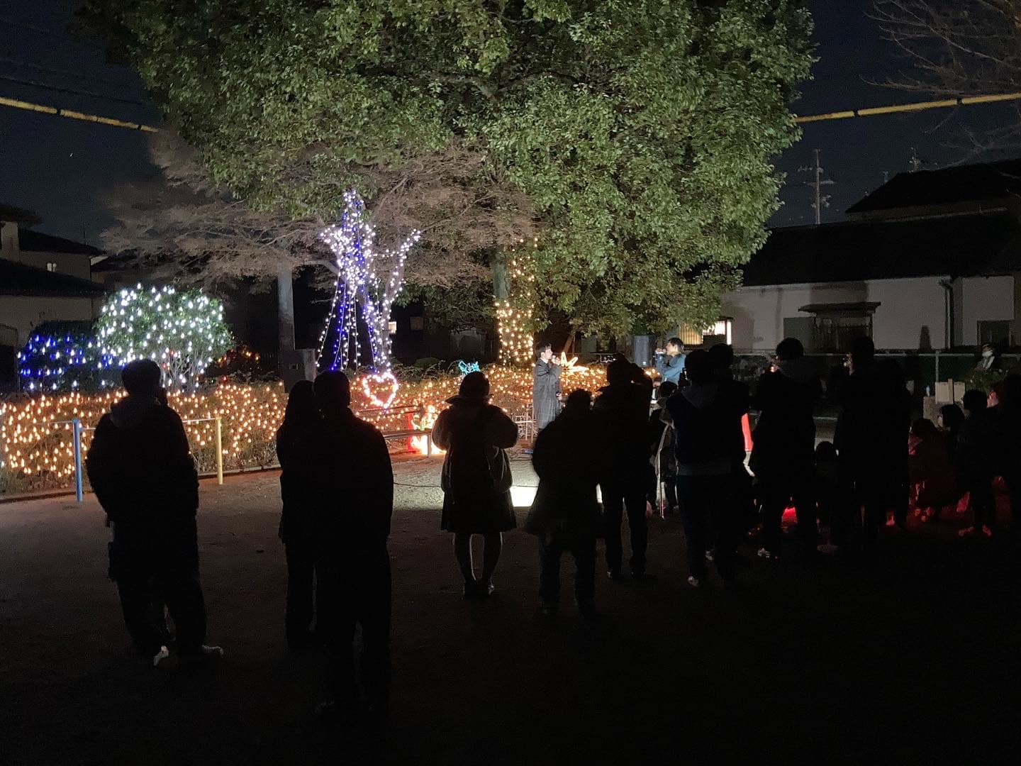【🎶音楽祭🎶@谷田公園イルミネーション】