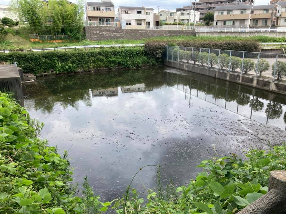 谷田町本林公園調整池
