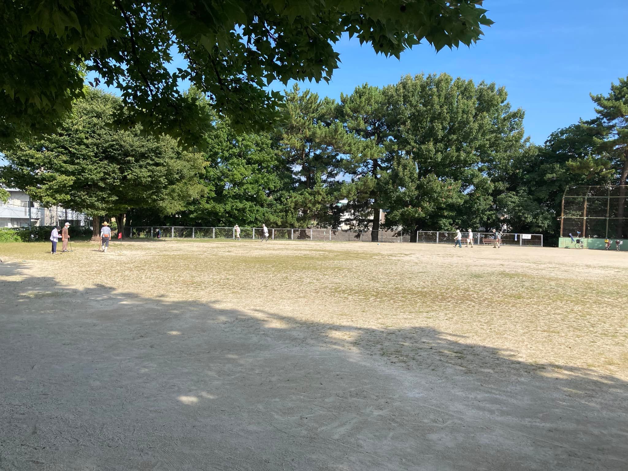 【いつもの日々に戻る夏🌻】