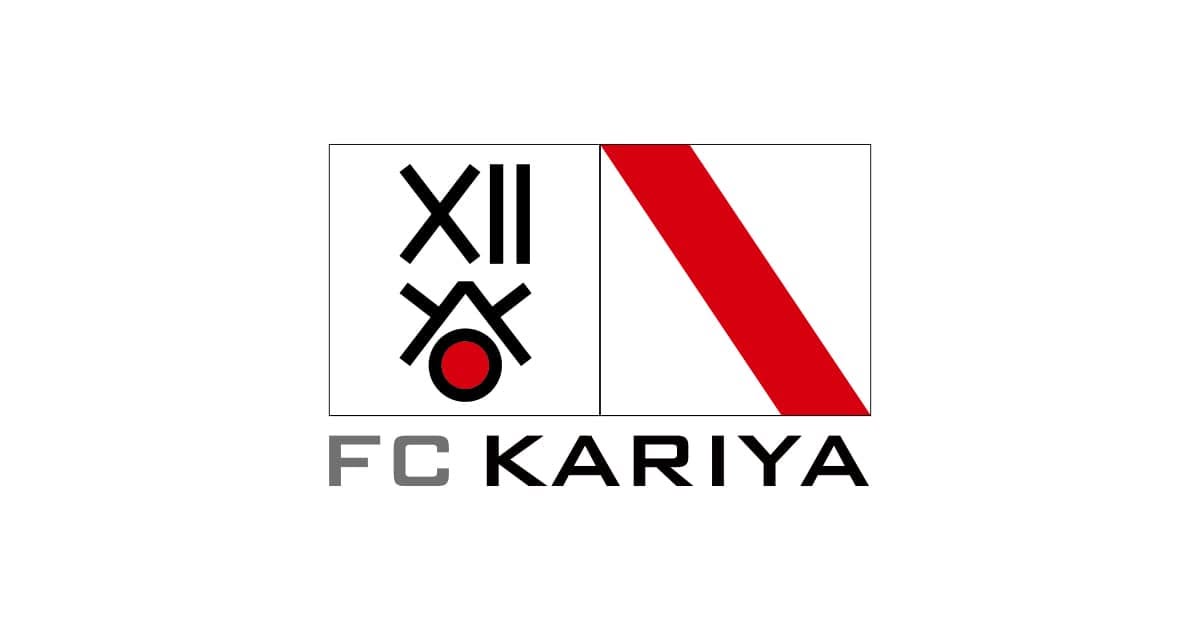 【プロフェッショナルに聞く番外編】