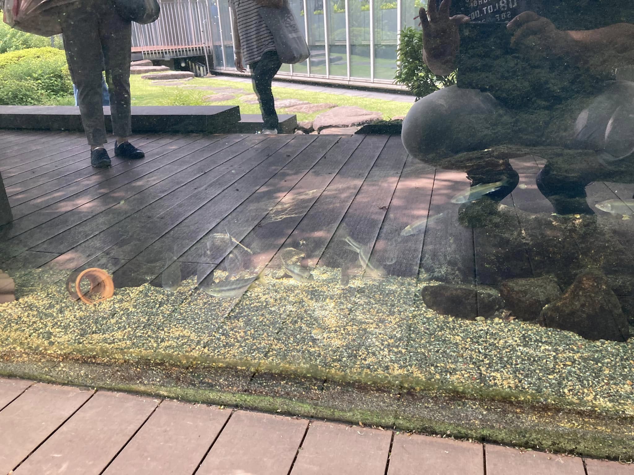 【元同僚さんたちの紹介で②】