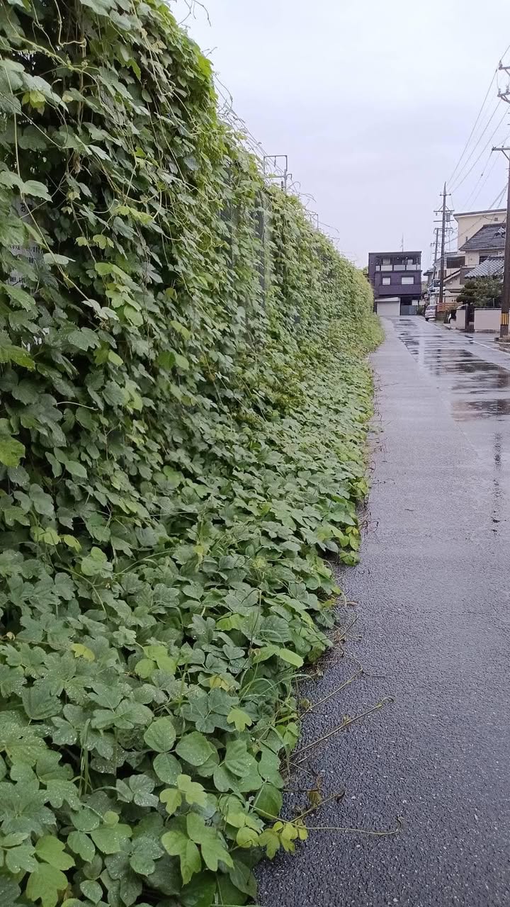 【通行の妨げになっていました💦】