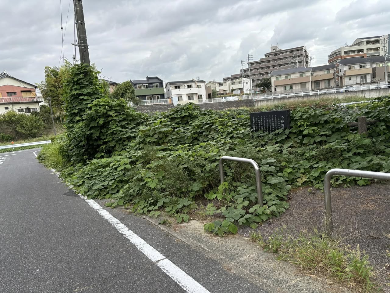 【谷田町内の本林公園が…💦】