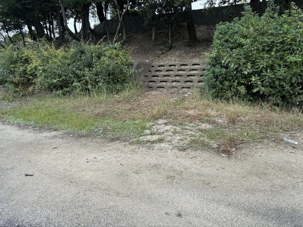 【谷田町内の本林公園が…💦】