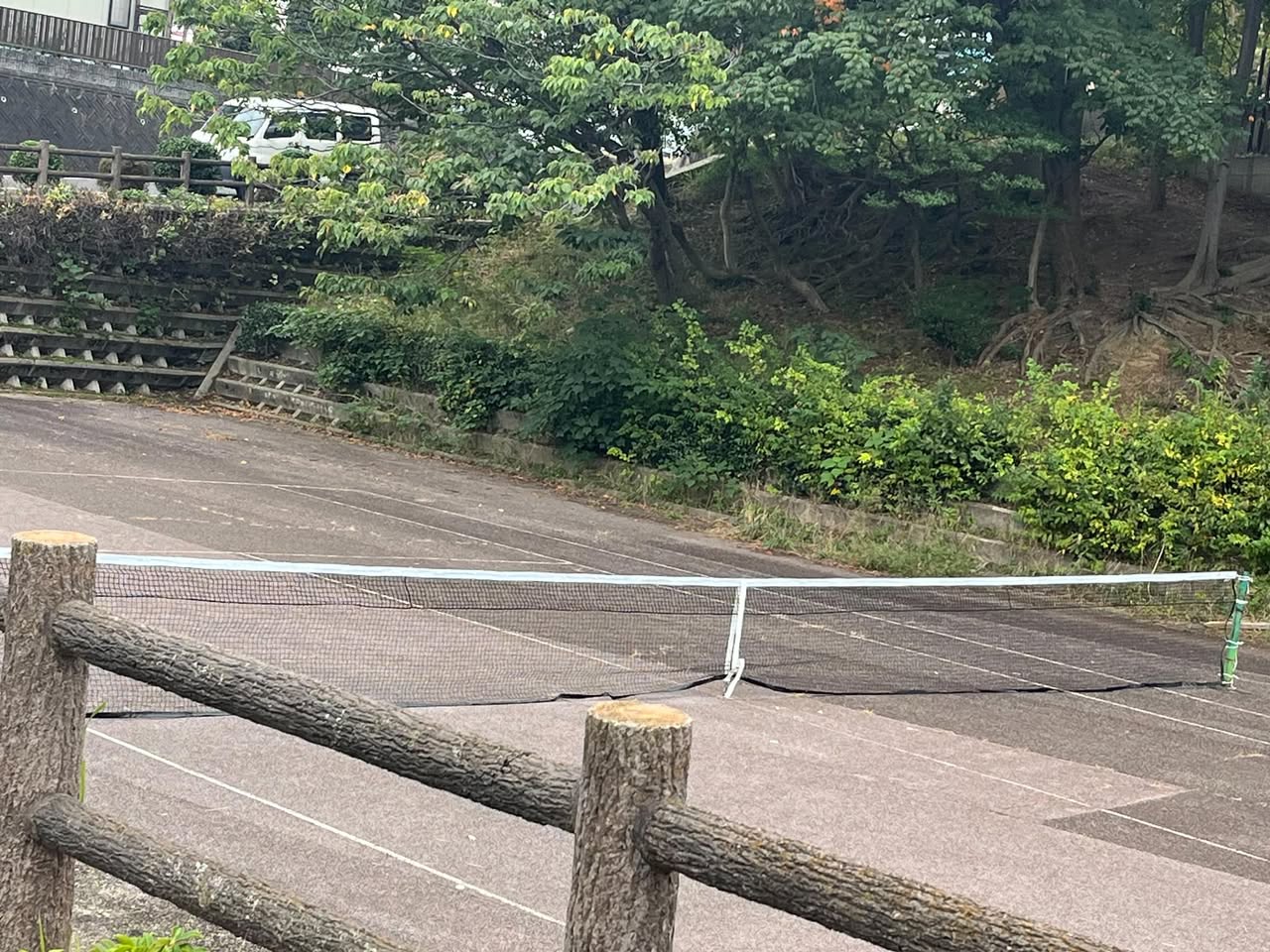 【本林公園のテニス少年たち🎾】