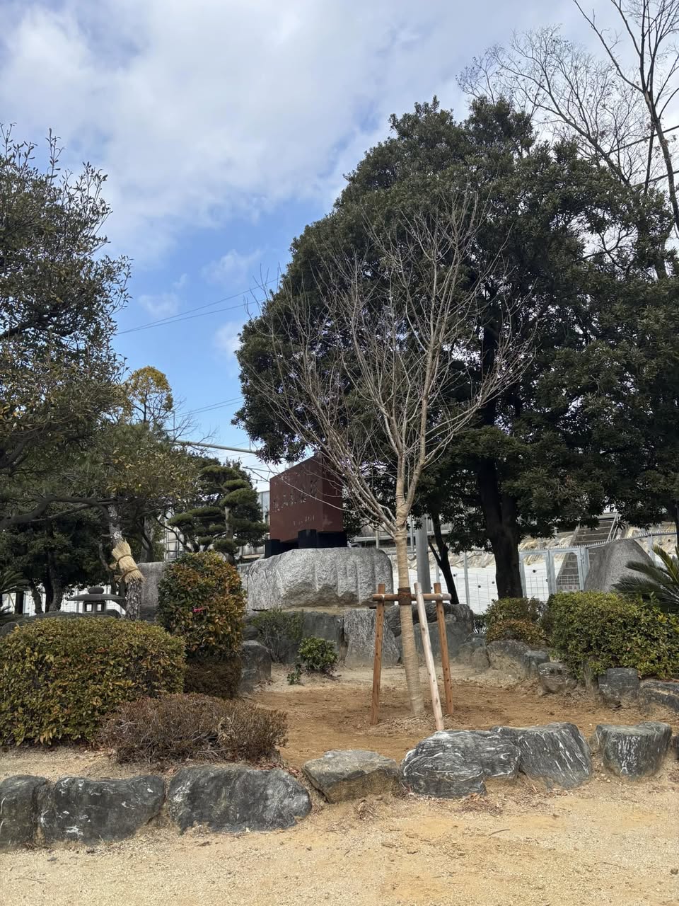 【いつまでも親しまれる公園になるために🌸】
