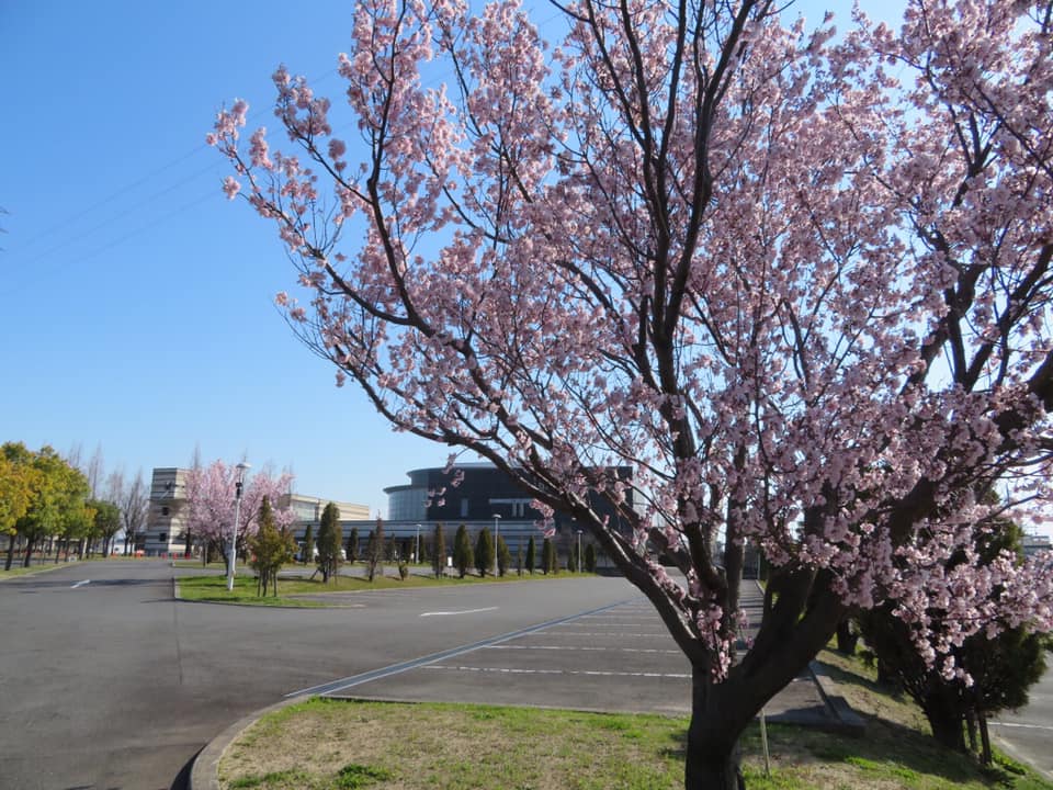 【伊那谷からの贈り物🌸】