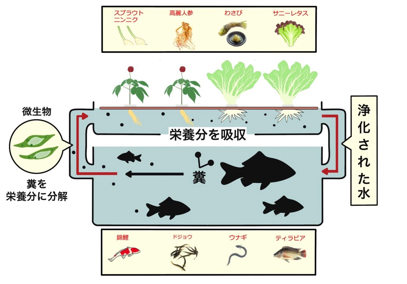 【学校、地域と連携を強化して緑の保全と創造を】