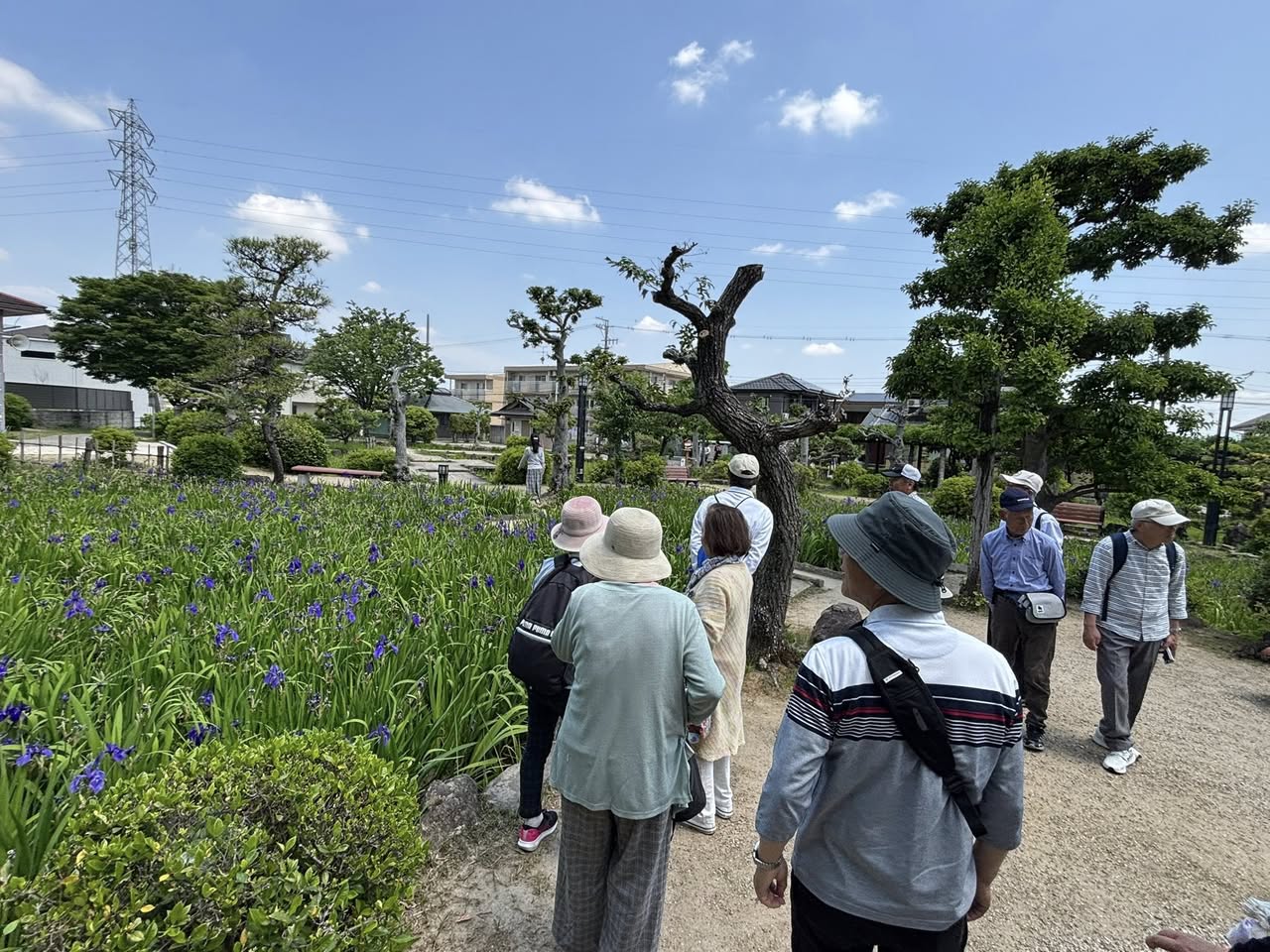 谷田町版さわやかウォーキング🚶にて
