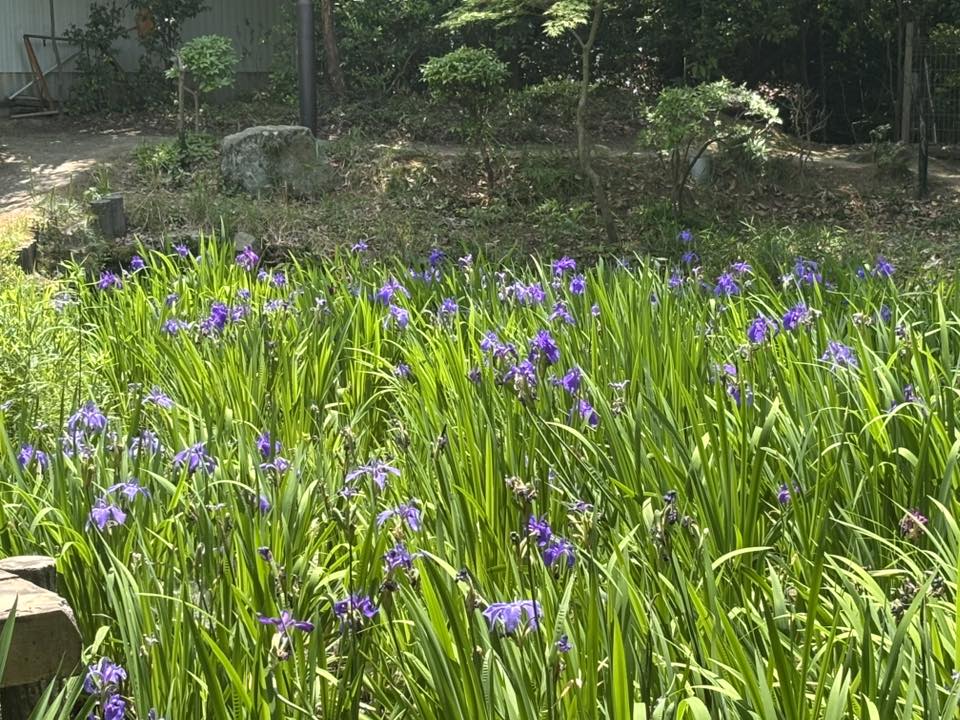谷田町版さわやかウォーキング🚶にて