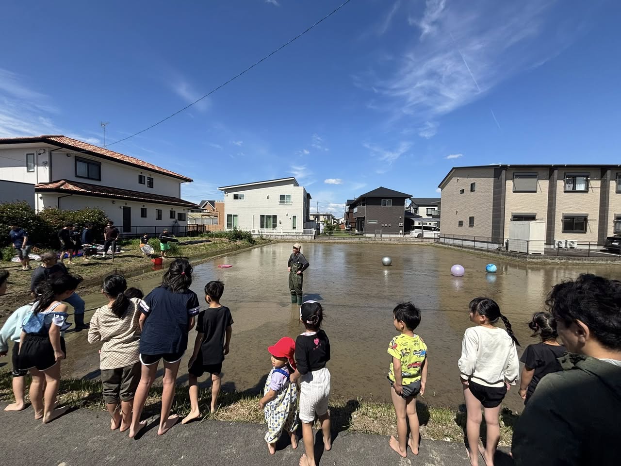 みな丸田んぼのどろんこ遊び