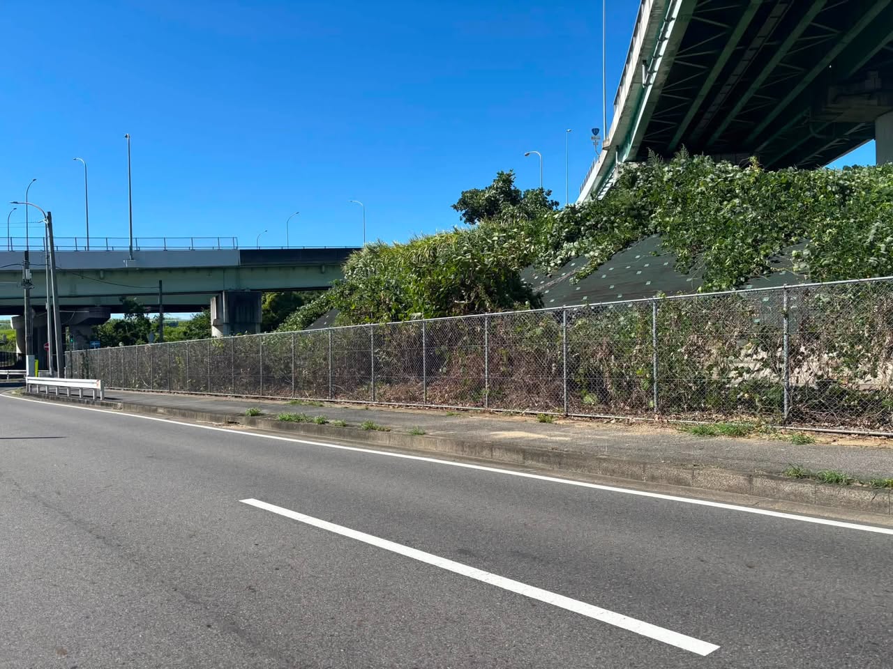 通学路の除草作業が完了しました